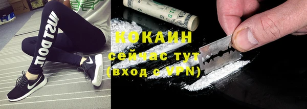 spice Горняк