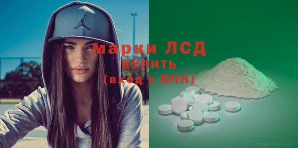 spice Горняк