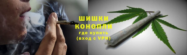 spice Горняк
