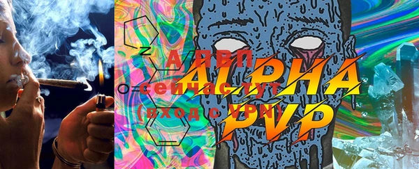 spice Горняк