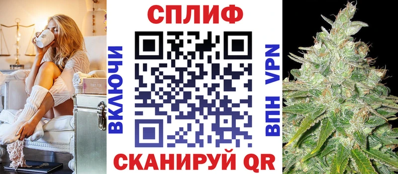 где найти   Новая Ладога  Бошки марихуана марихуана 
